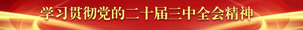 学习贯彻党的二十届三中全会精神